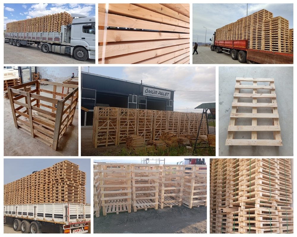 Aci Sant’Antonio Palette Europe, Acheter des palettes en gros